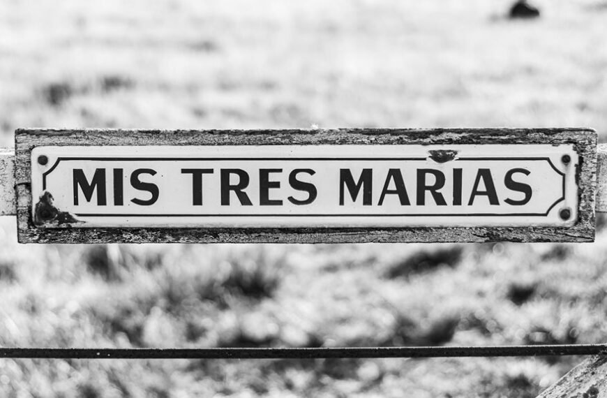 corporate intelligence data overview