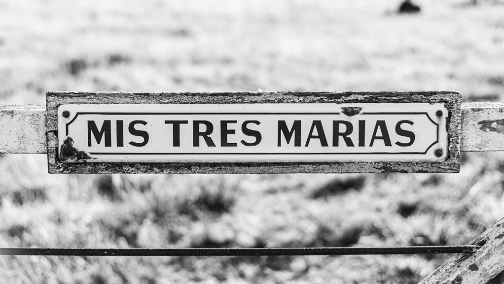 corporate intelligence data overview