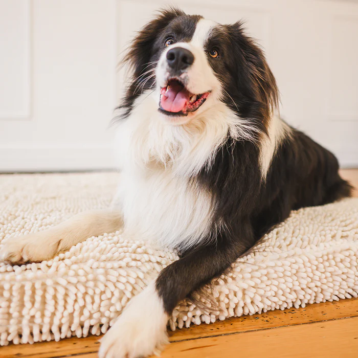 The Ultimate Guide to Choosing the Best Calming Pet Bed for Your Furry Friend