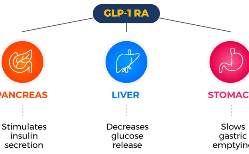 How Semaglutide Works: Common Questions, Risks, and Better Comparison Criteria