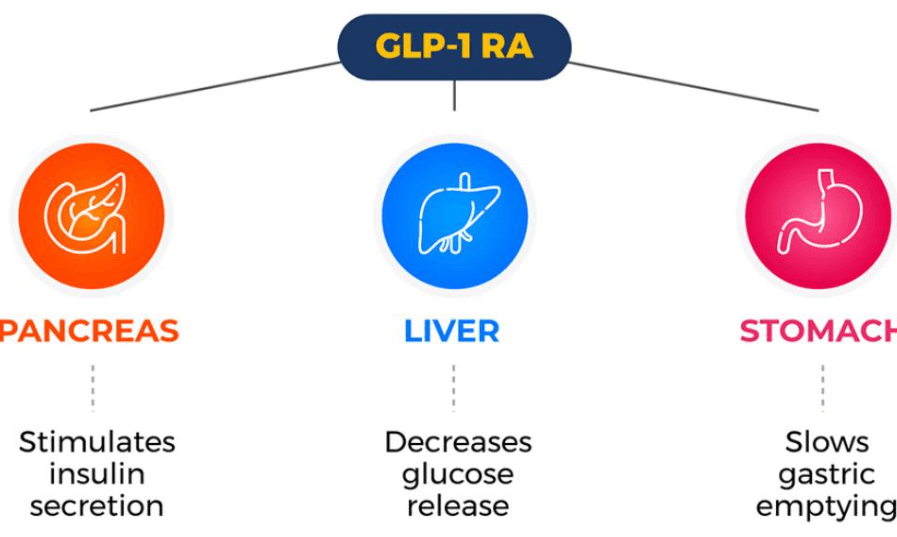 How Semaglutide Works: Common Questions, Risks, and Better Comparison Criteria